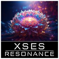 Xses - Grand Design