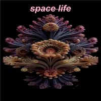 Hidro Syntetic - space life