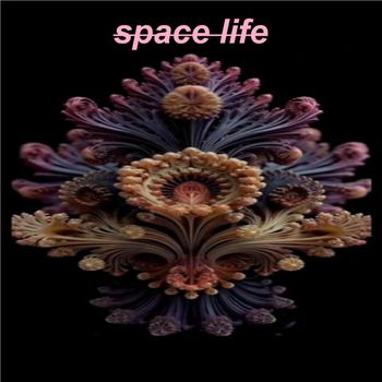 Hidro Syntetic - space life