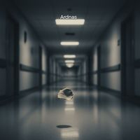 Ardnas - Requiem for a Dream