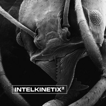 Various Artists - Intelkinetix²