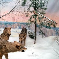 The Jealous Sound - A Gentle Reminder (Deluxe Edition)