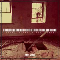 Bart Vogel - Crumbs Between the Cracks
