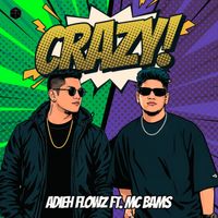 Adieh Flowz - Crazy
