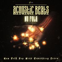5SecondDecider - Acoustic Beats - Nu Folk