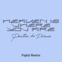 Pantha du Prince - Heaven Is Where You Are (Fejká Remix)