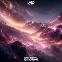Bad Signal - Storm