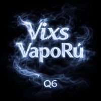 Q6 - Vixs Vaporú