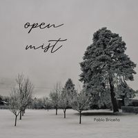 Pablo Briceño - Open Mist