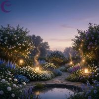 Sunset Nocturnes - Gentle Piano Rest