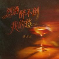 黄文文 - 烈酒醉不倒我的愁 (节奏版)