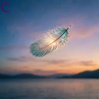 Sunset Nocturnes - Nightfall Lullaby Drift