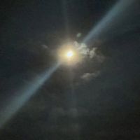 left - Imperfectionist