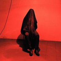 Ivort - Corpus Callosum