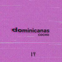 Cocho - Dominicanas (Explicit)