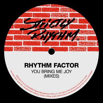 Rhythm Factor - You Bring Me Joy (Mixes)