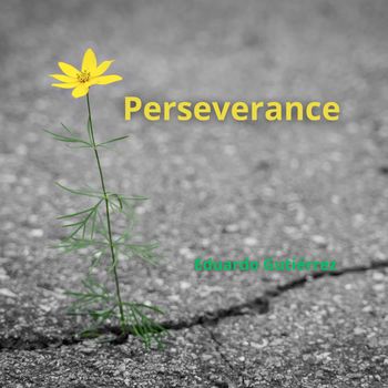 Eduardo Gutiérrez - Perseverance