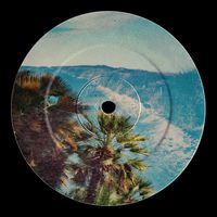 Bernardo Mota - Energy