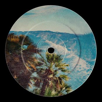 Bernardo Mota - Energy