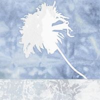 gongwon - Flower