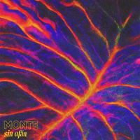 Monte - Sin Afán