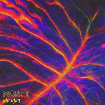 Monte - Sin Afán