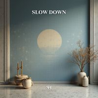 Sacha Hoedemaker - Slow Down