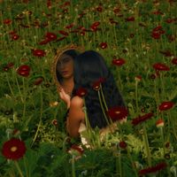 Sante SVM - Bloom Again