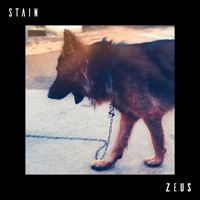 Stain - ZEUS