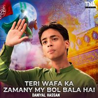 Daniyal Hassan - Teri Wafa Ka Zamany My Bol Bala Hai