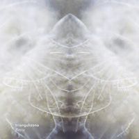 TrianguliZona - flossy