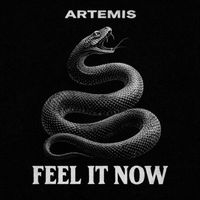 ARTEMIS - Feel It Now