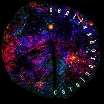 Carol - Sent les hores