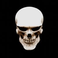 syxxsec - BONEMAXXING