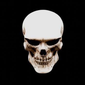 syxxsec - BONEMAXXING