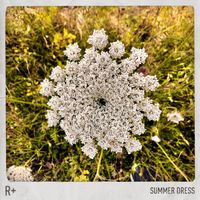 Dido, R Plus - Summer Dress