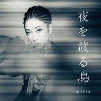MISIA - Yoru wo Wataru Tori