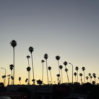 Paul Nolan - California Is Waiting For Ya