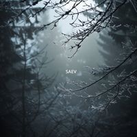 SAEV - Under the Silver Canopy