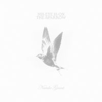 Natalie Grant - His Eye Is On The Sparrow