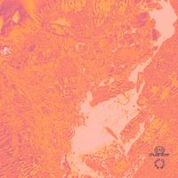 Mimmo - To Die In Noirmoutier