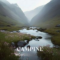 Wonderclouds - Campine