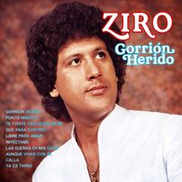 Ziro - Gorrión herido