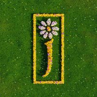 James - Hallelujah Anyhow (Radio Edit)