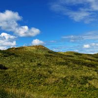 JONA - Nicht Alleine