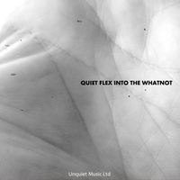 UNQUIET MUSIC LTD - Quiet Flex into the Whatnot