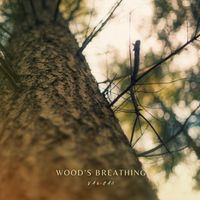 Van.Gao - Woods Breathing