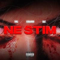 TRIG - Ne stim (Explicit)