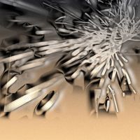 KOP-Z - Past and Future Coalescence