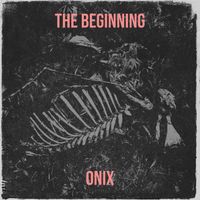 Onix - The Beginning